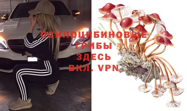 метадон Алексеевка