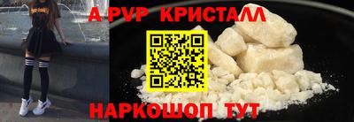 spice Кингисепп