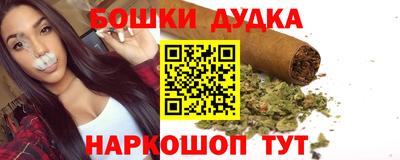 spice Кингисепп