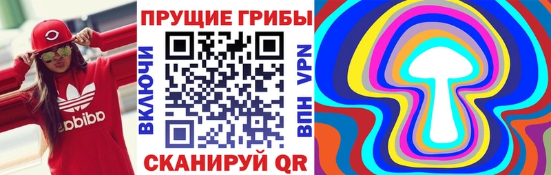 Псилоцибиновые грибы GOLDEN TEACHER  наркошоп  Урюпинск 