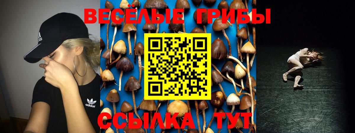 Урюпинск  Галлюциногенные грибы Psilocybine cubensis  цена наркотик  Вход с VPN 